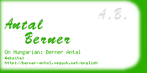antal berner business card